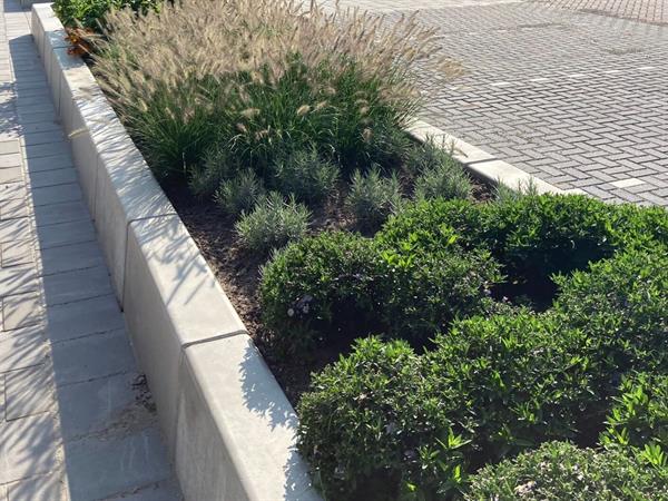 leiconperkbandurk03e1600871080670