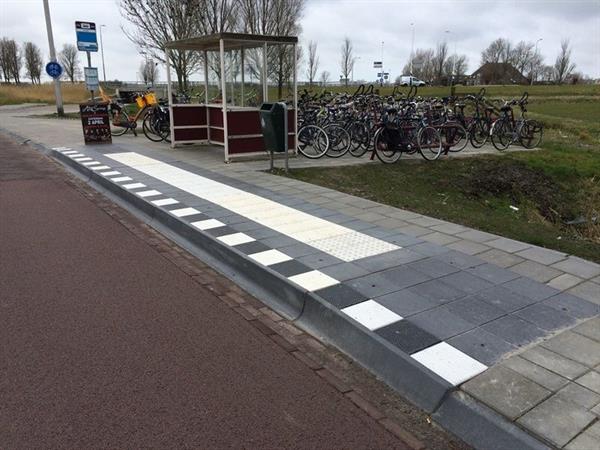 busperrongxwommels03