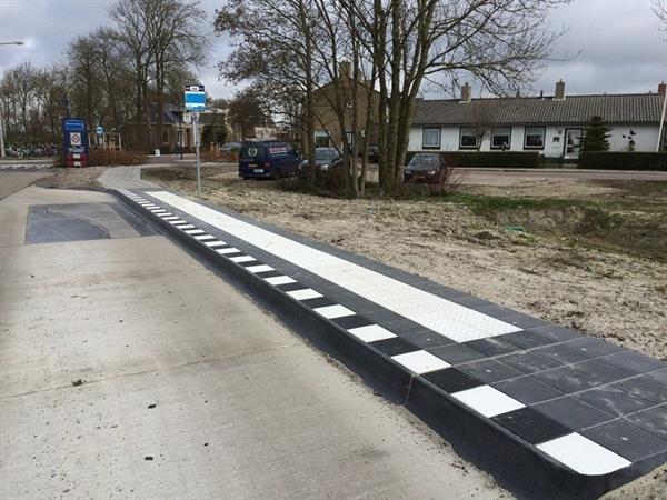 busperrongxwommels09