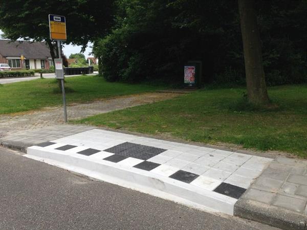 busperronglplusborne03