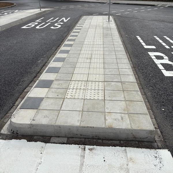 Bustransferium Curio Prinsentuin Andel | Leicon Verkeersgeleiding